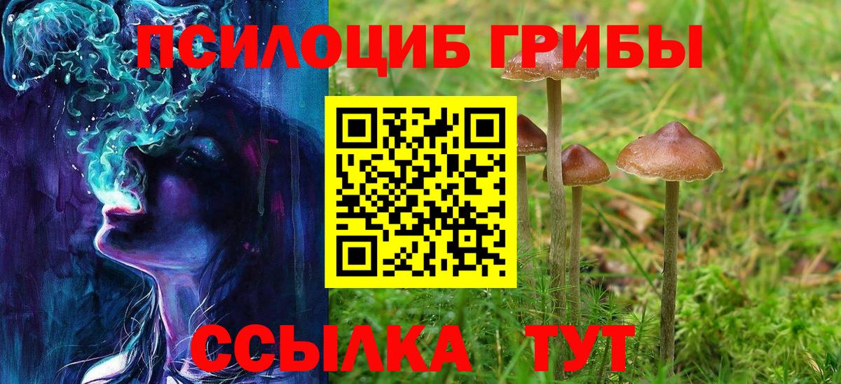 Псилоцибиновые грибы мухоморы Череповец